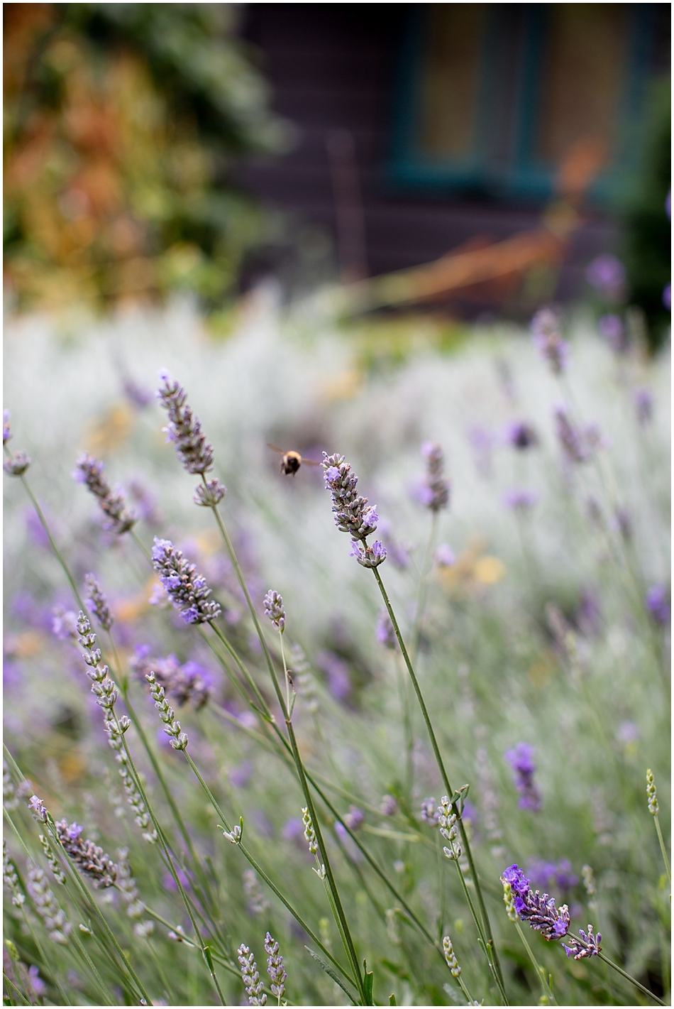 titchwell-manor-wedding-photography_003