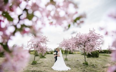 I Do… Josh & Erin, Elms Barn {Favourite Five Moments}